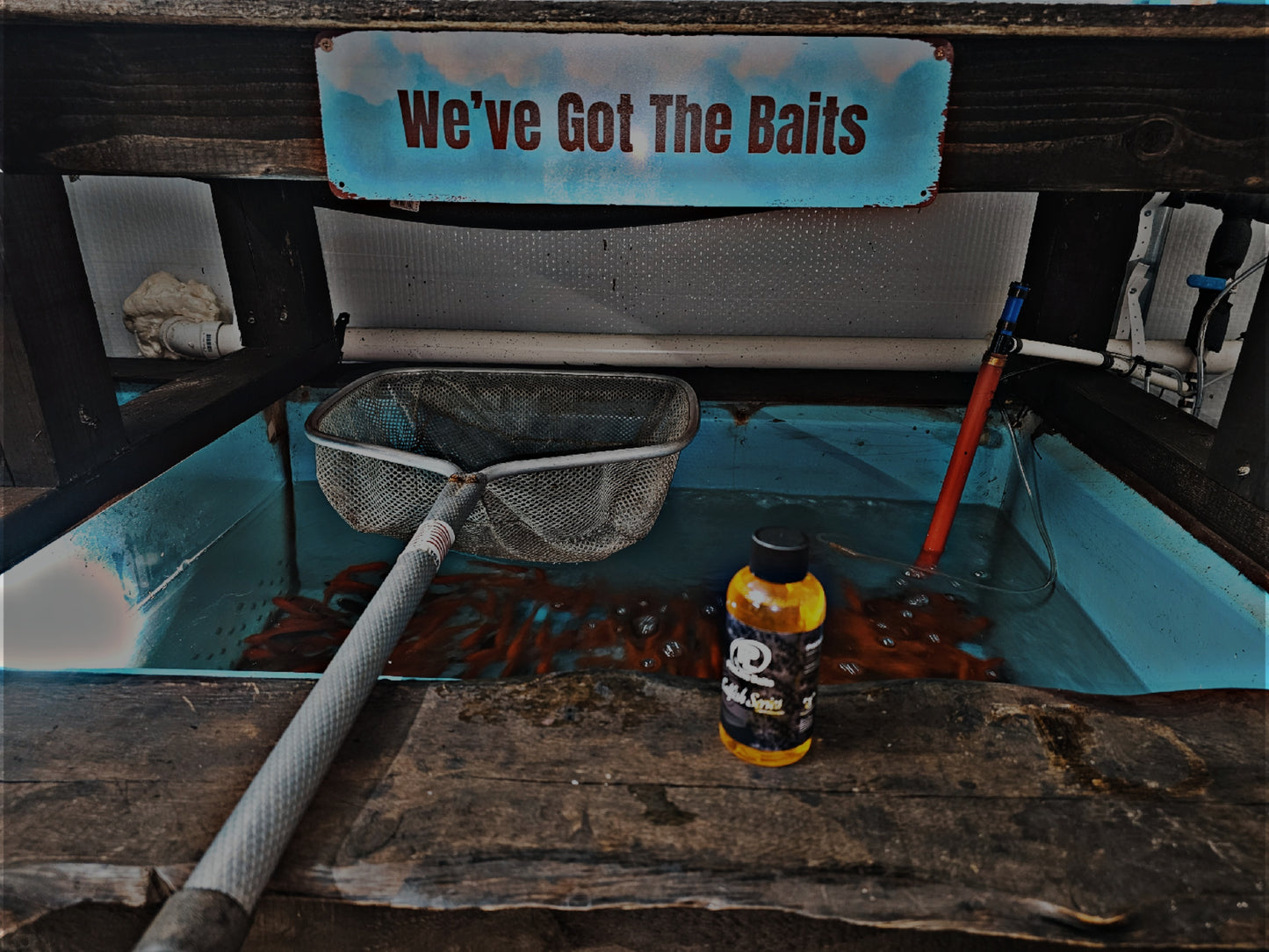 Pro Line Baits "ROCKWELL GOLDYZZ"