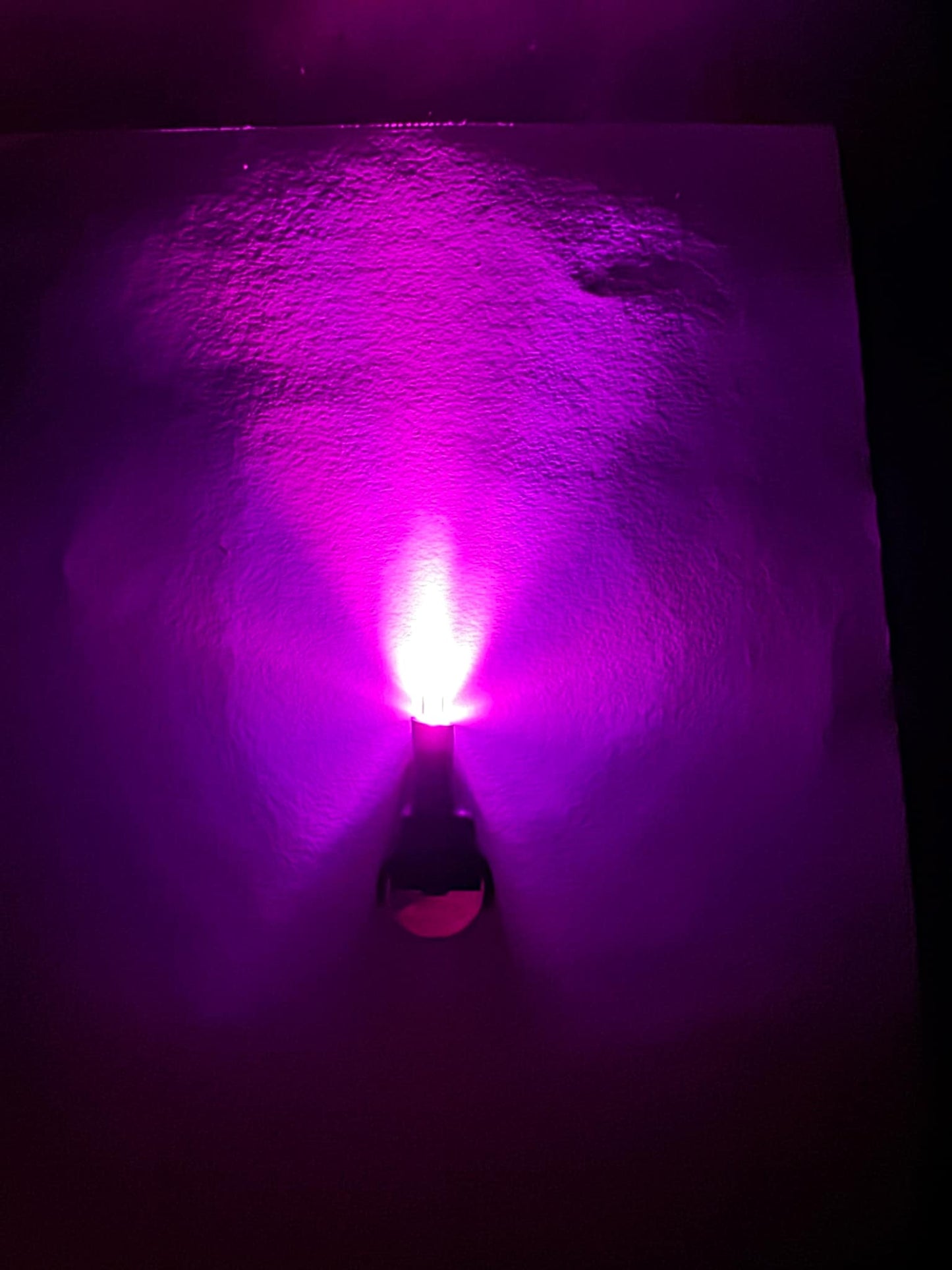 PAYLAKER LIGHTS